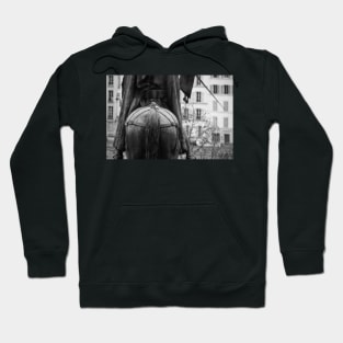 Paris - Pigeon accroupi Hoodie